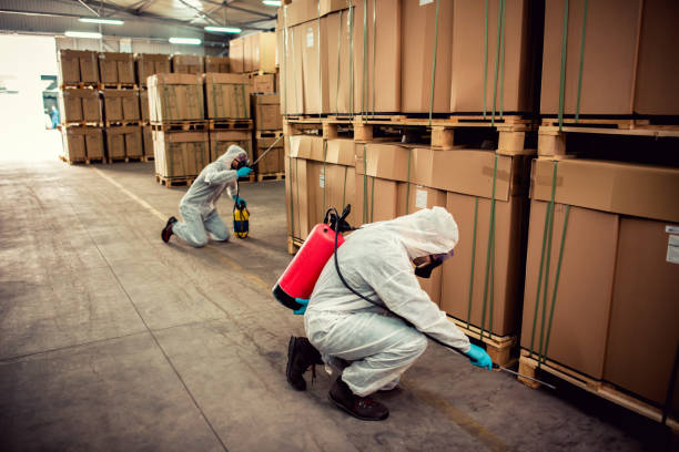Best Pest Control Near Me in Strasburg, CO