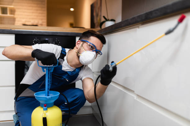 Reliable Strasburg, CO Pest Control Solutions