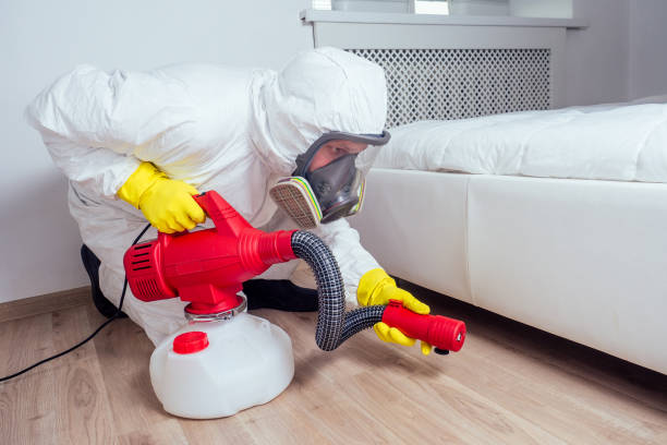 Best Affordable Pest Control Services  in Strasburg, CO
