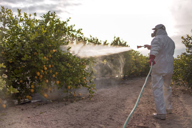 Insect Control in Strasburg, CO