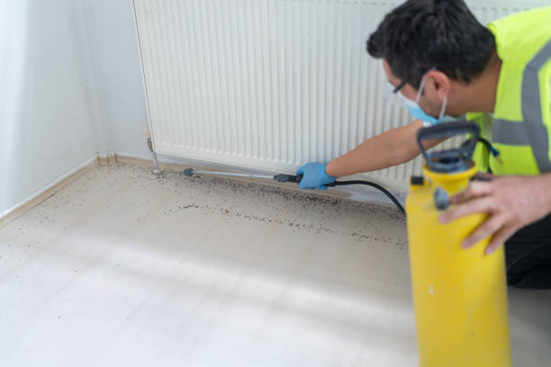 Pest Prevention Services in Strasburg, CO